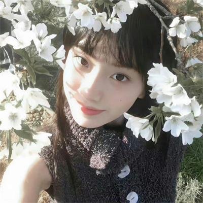 无言的树