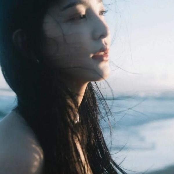 菊石